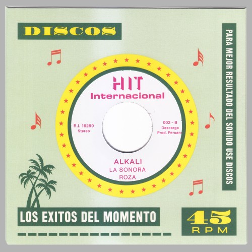 Hit International (Los Palteados & La Sonora Roza)